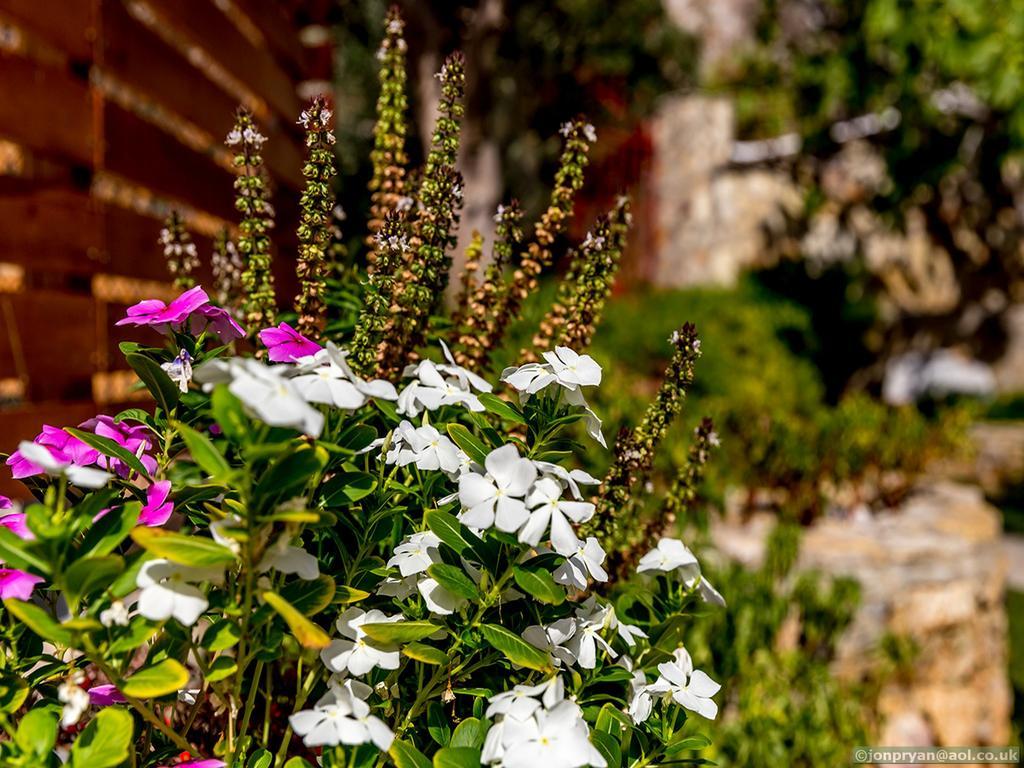 Fotinis Cottage Simi Zewnętrze zdjęcie